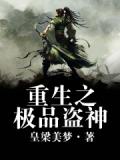 重生神级盗贼